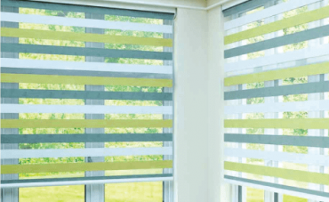 Vision Blinds